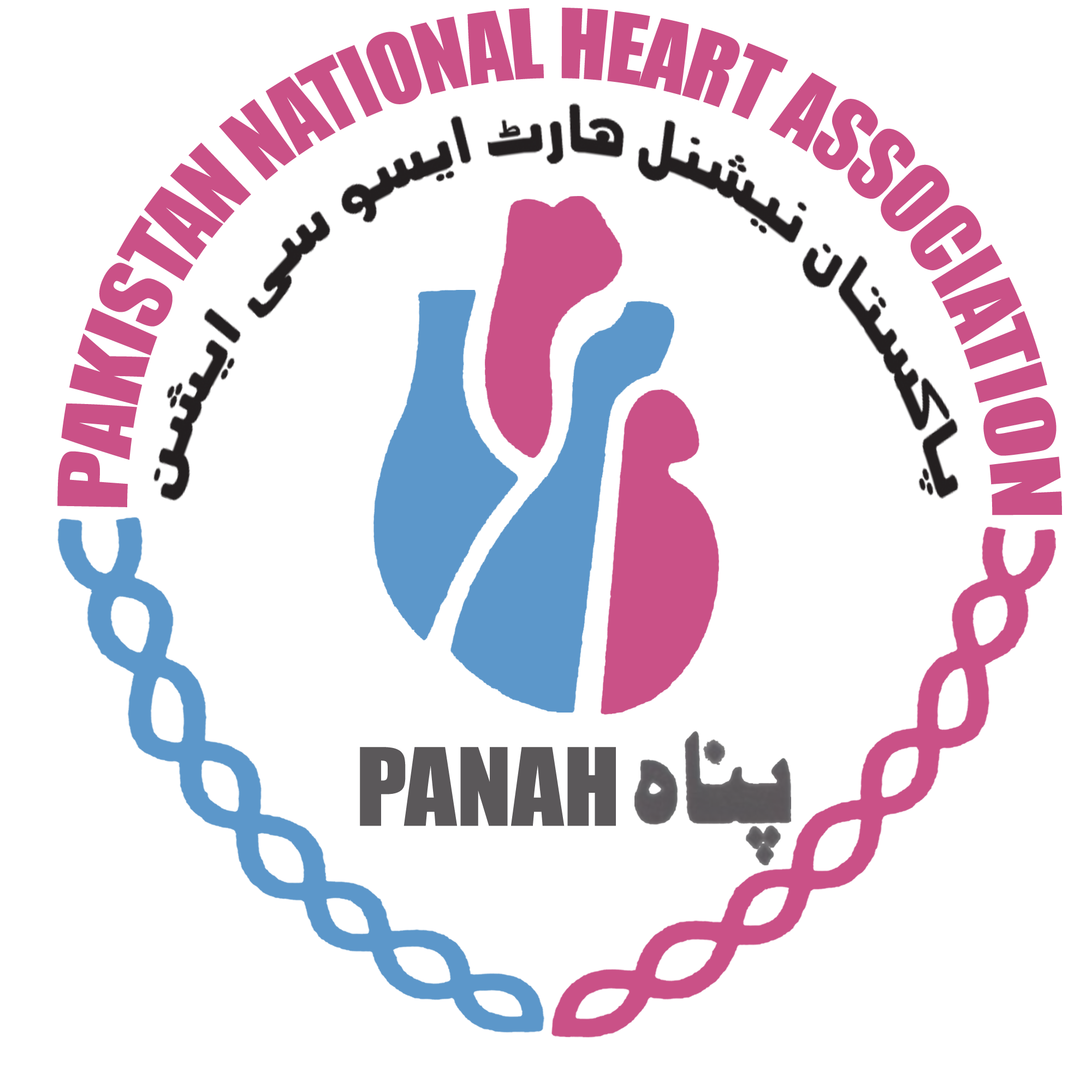 The Pakistan National Heart Association (PANAH)